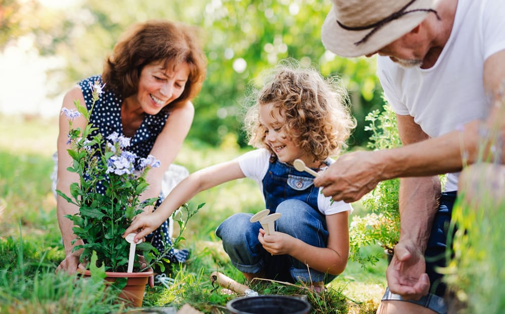 grandparents-and-granddaughter-gardening